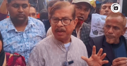 আওয়ামী লীগের মতো বড় প্রতিদ্বন্দ্বী না থাকায় নির্বাচনী উত্তাপ কম: